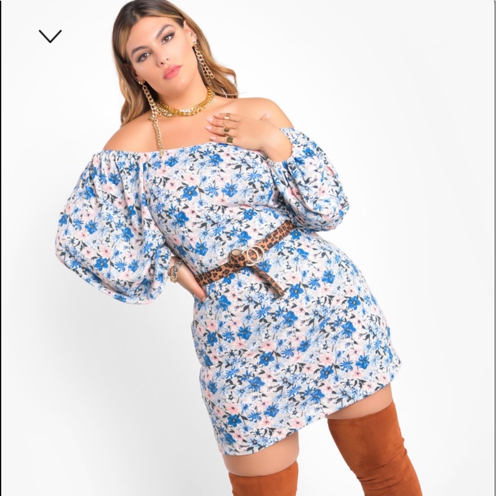 REBDOLLS Dress 4x worn once and dry cleaned